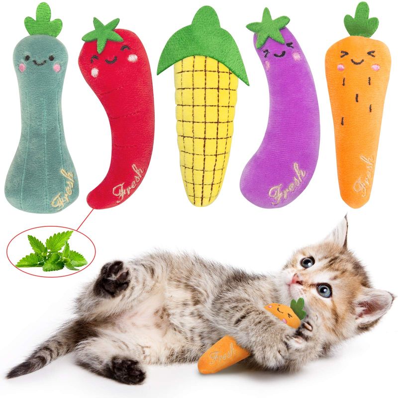 Catnip Toys