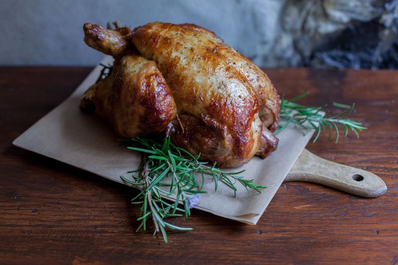 Cat’s Favorite Smell - Chicken
