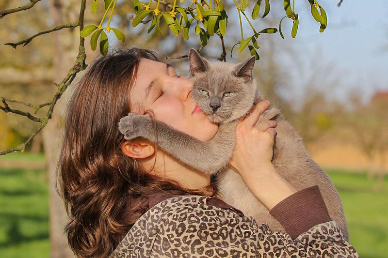 Cats Only Show Affection When They Want Food