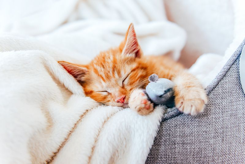 Changes in Sleep Patterns