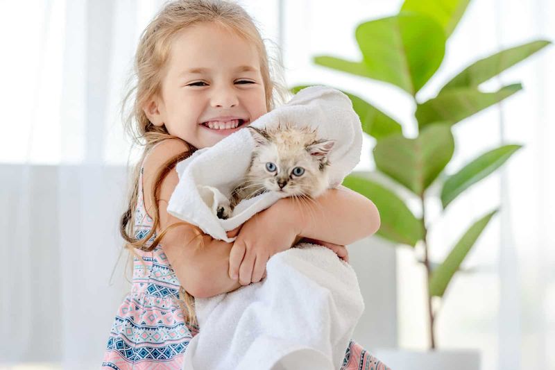 Child-Friendly Feline Friends