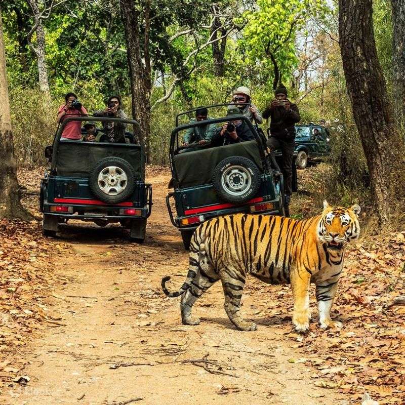 Chitwan National Park, Nepal