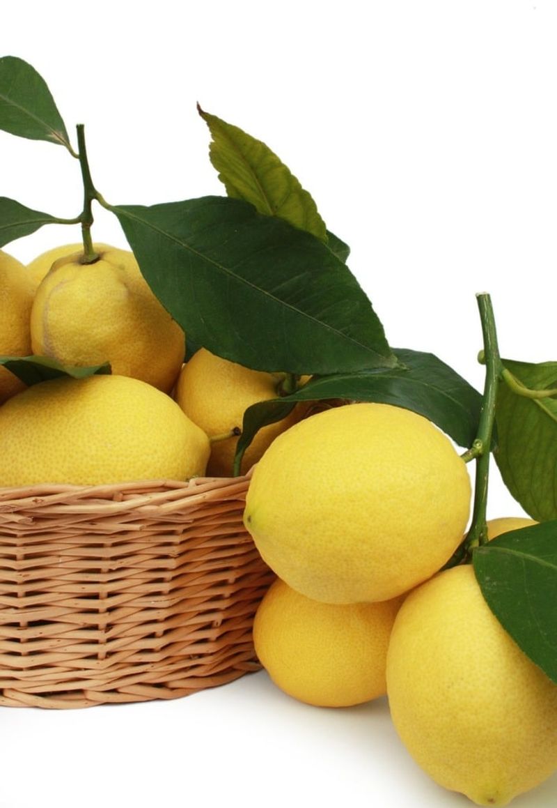 Citrus Fruits