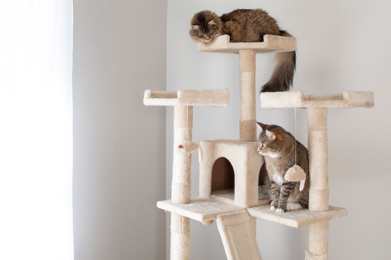 Climbing to High Places