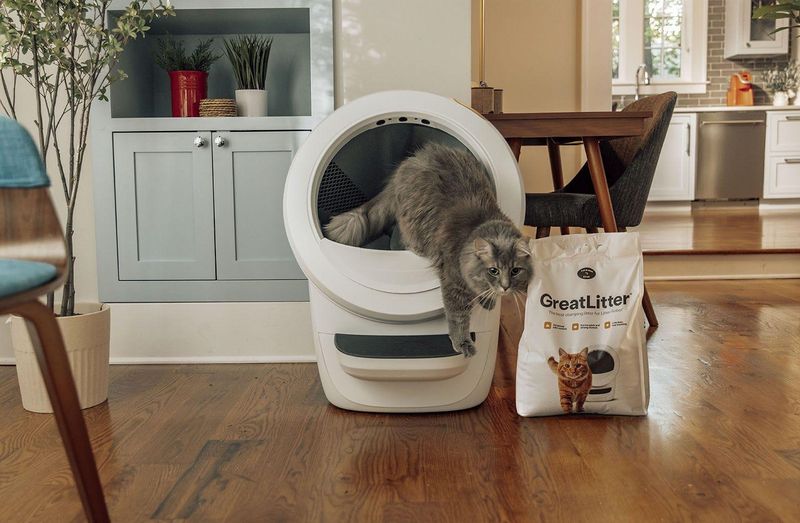 Clumping Litter: Daily Scooping, Less Frequent Changes