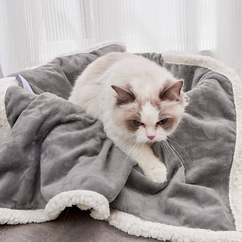 Comfort Blankets
