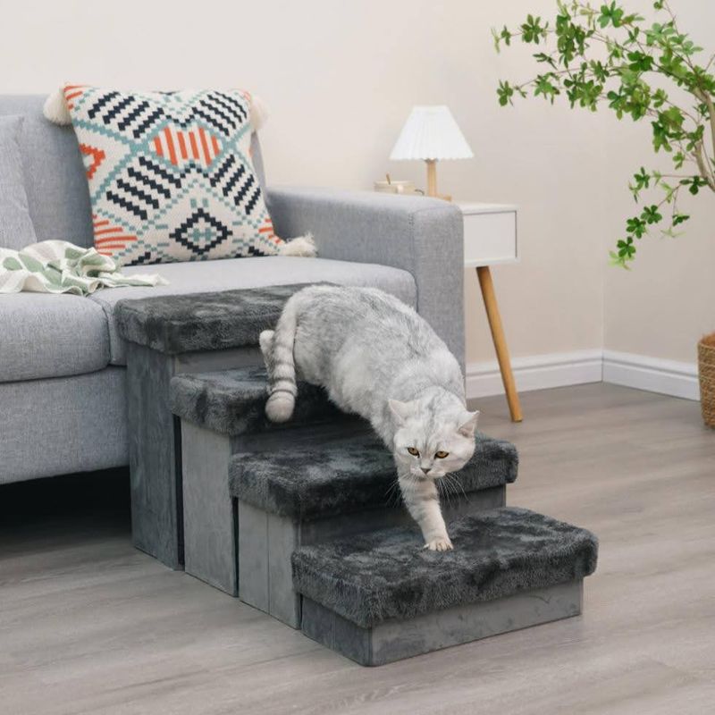 Comfortable Living Space