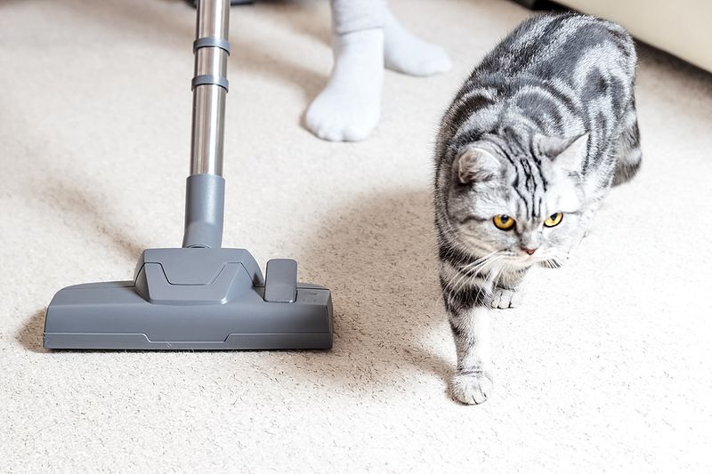 Comfortable with Vacuum Cleaners