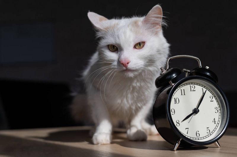 Consideration 2: Time Commitment