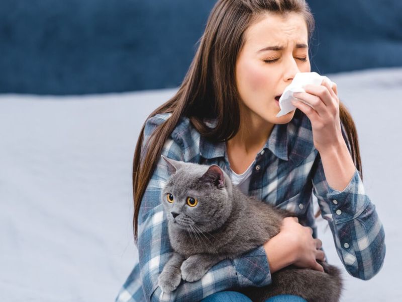 Consideration 4: Allergies