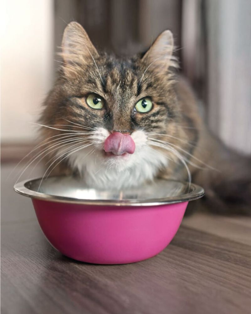 Consistent Mealtime Rituals