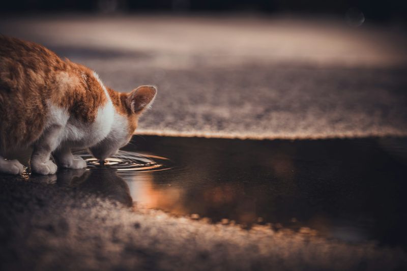 Contaminated Water