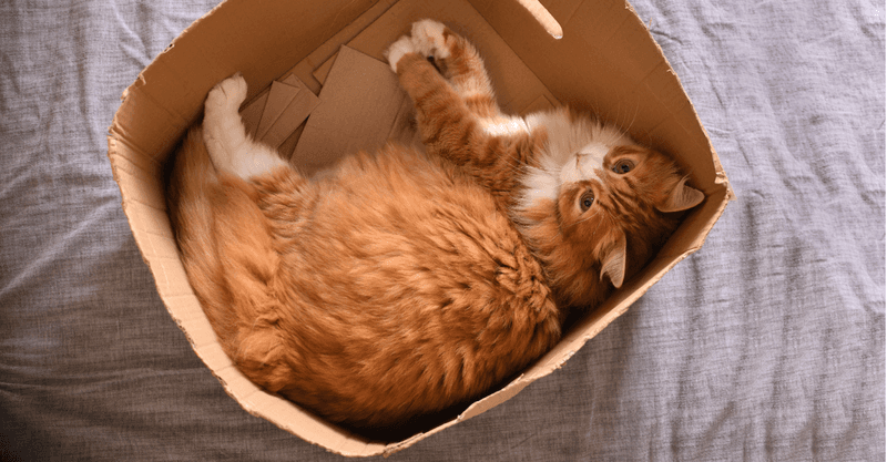Create Cozy Hiding Boxes