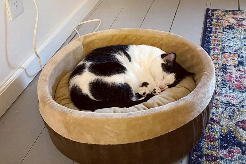 Create Cozy Sleeping Spots