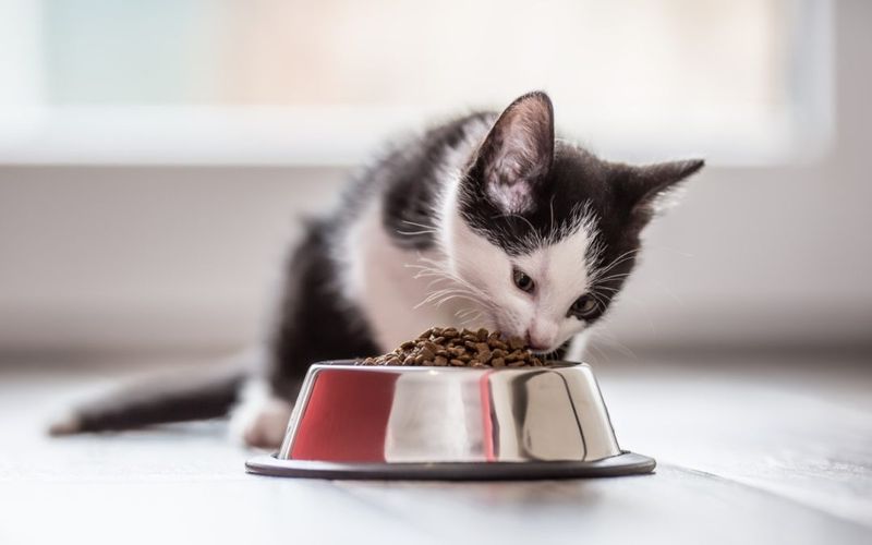 Create a Calm Eating Environment