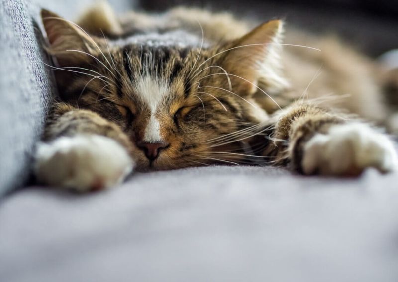 Create a Calm Home Environment