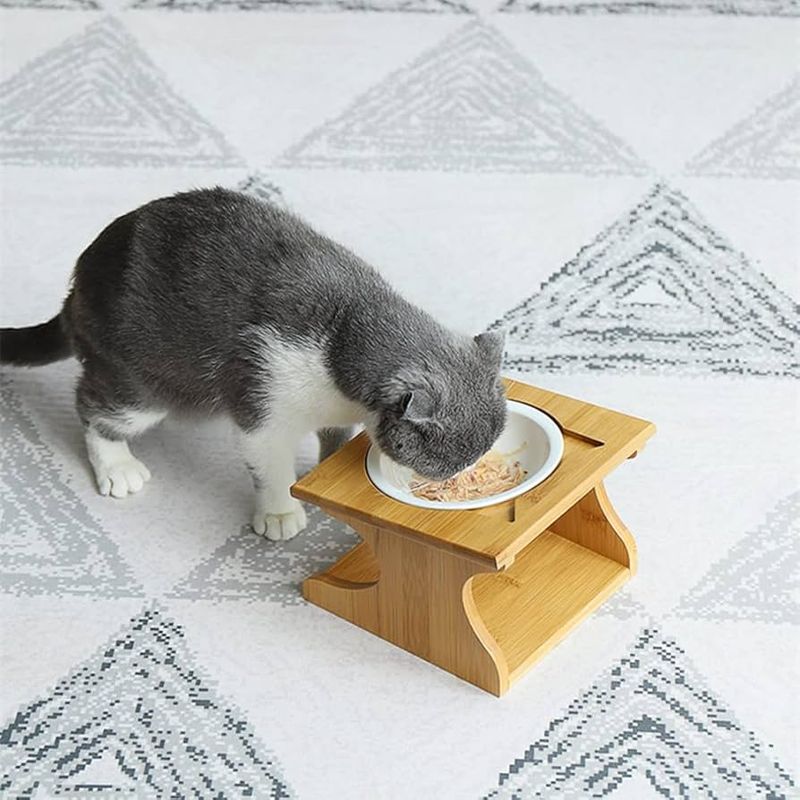 Create a Dining Experience
