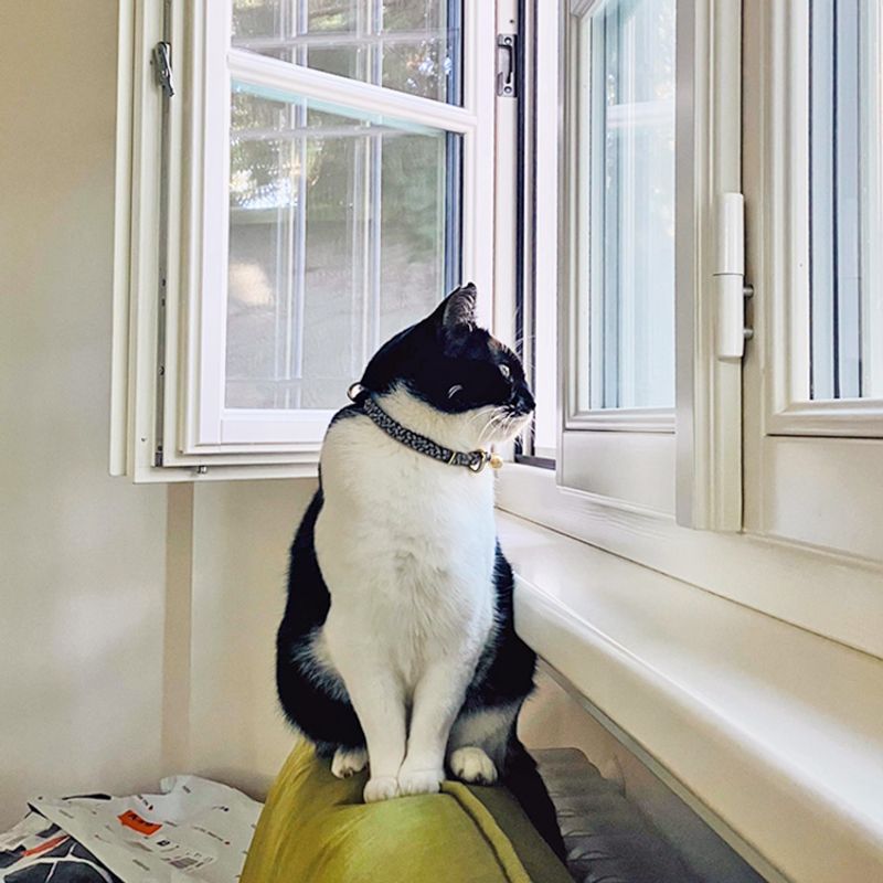 Creating Window Access Without Screens