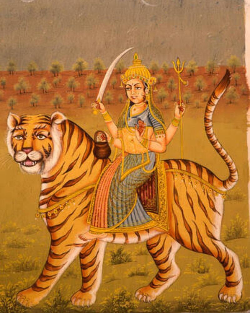 Cultural Reverence and Tigers