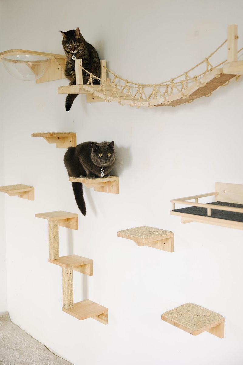 DIY Obstacle Course