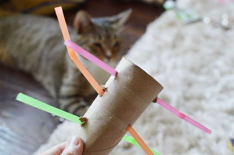 DIY Toilet Paper Roll Puzzle
