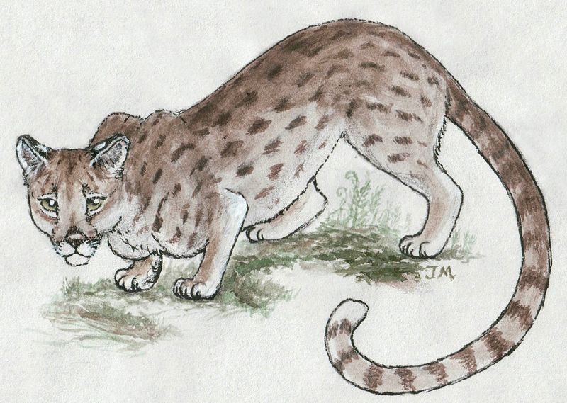 Diet and Hunting Techniques