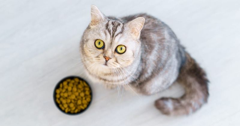 Digestive Troubles Strike
