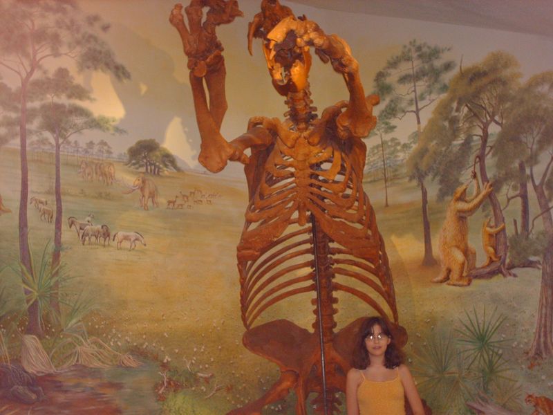 Dinobastis serus