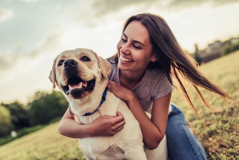 Dogs for Loyal Companionship