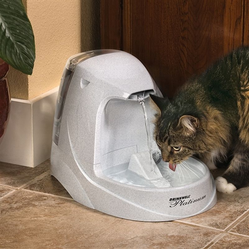 Drinkwell Platinum Pet Fountain