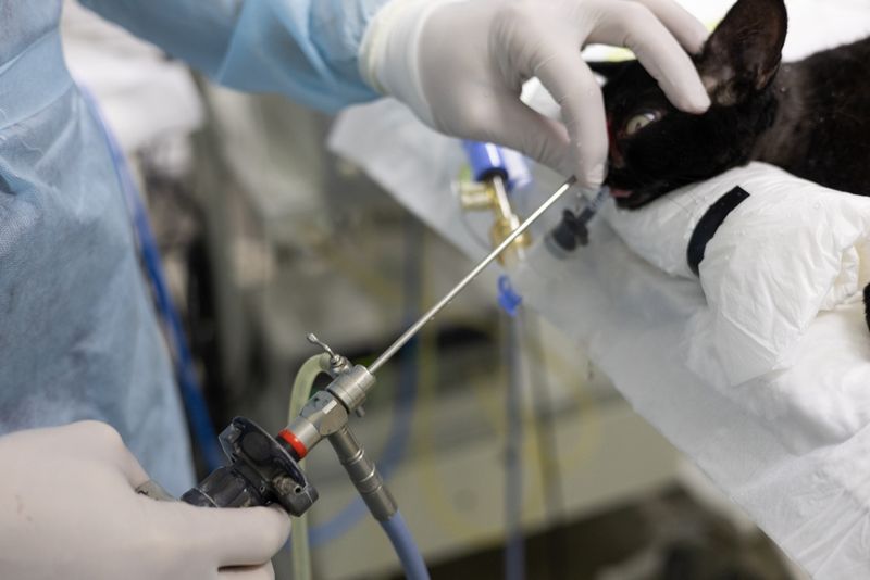 Effective Treatment Methods