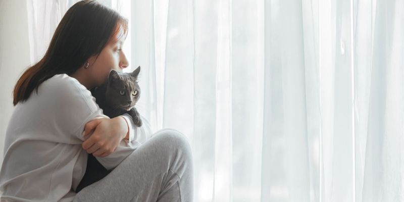Emotional Intelligence Experts