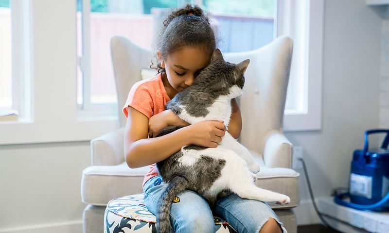 Encourage Gentle Handling