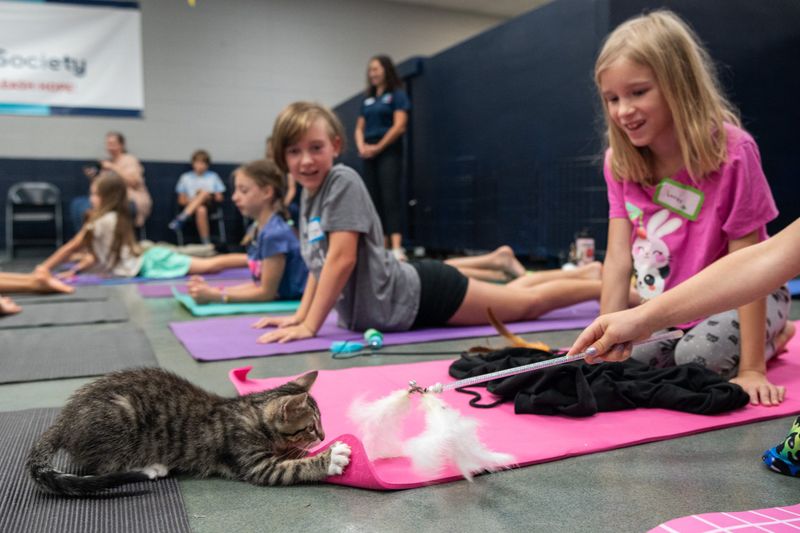 Encouraging Physical Activity and Play