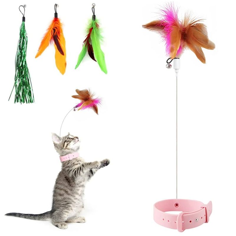 Engage in Interactive Play