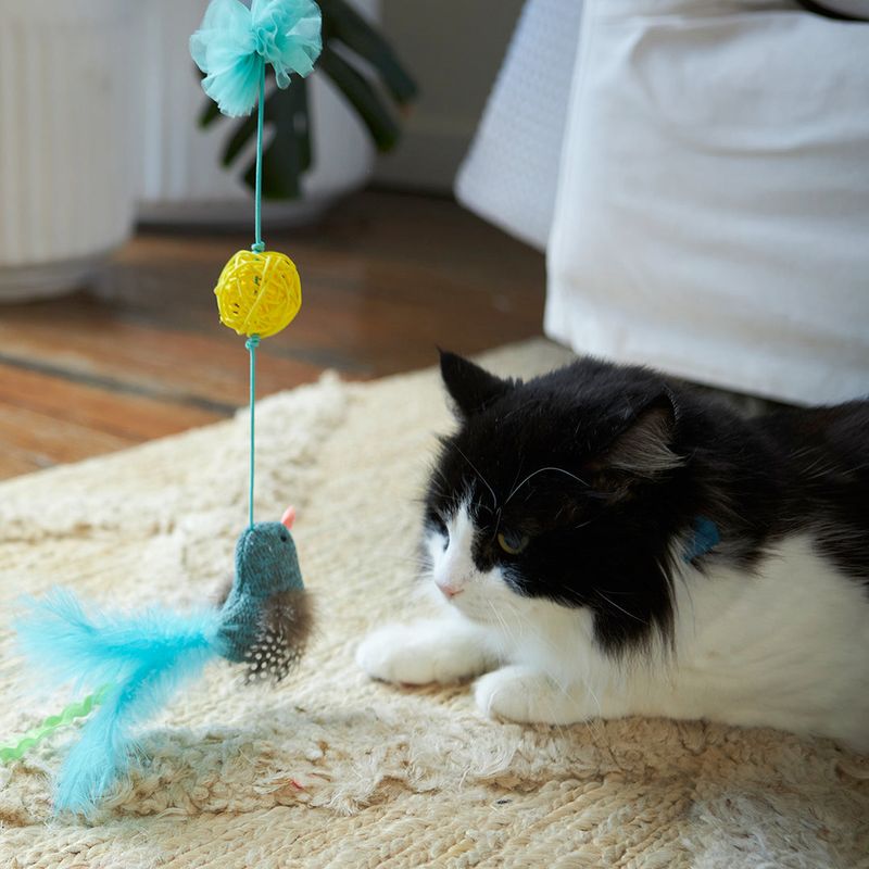 Engage in Interactive Play
