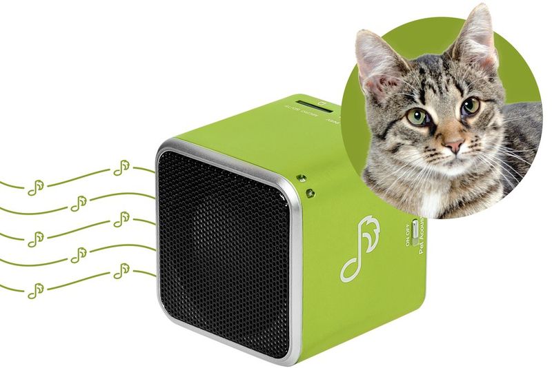 Engaging Audio Books