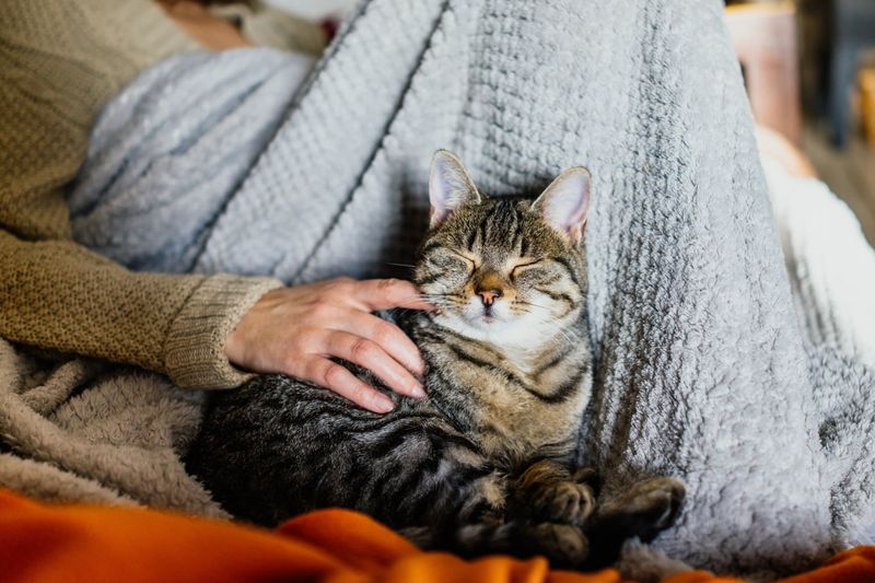 Enhanced Emotional Well-being