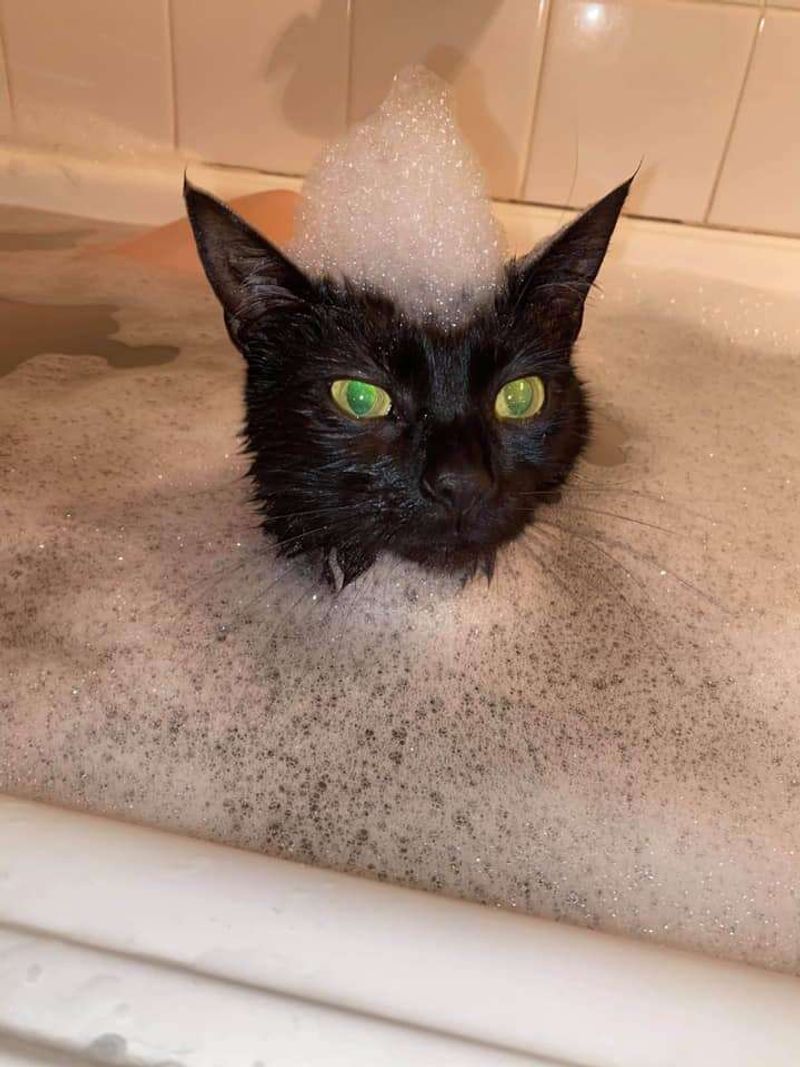 Enjoying Bath Time