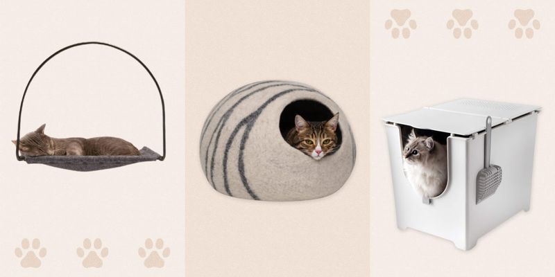 Ensure All Cats Have Personal Items