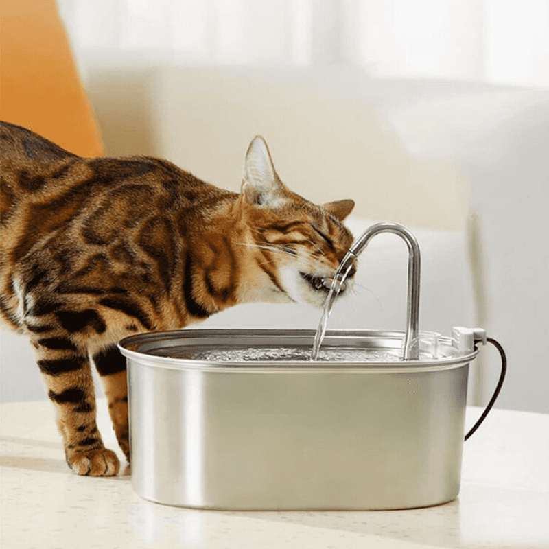Ensuring Fresh Water Availability
