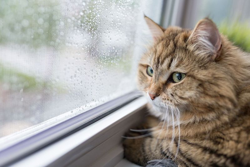 Environmental Changes Trigger Depression
