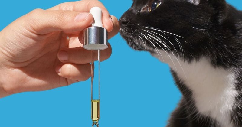 Essential Oil Cleaners