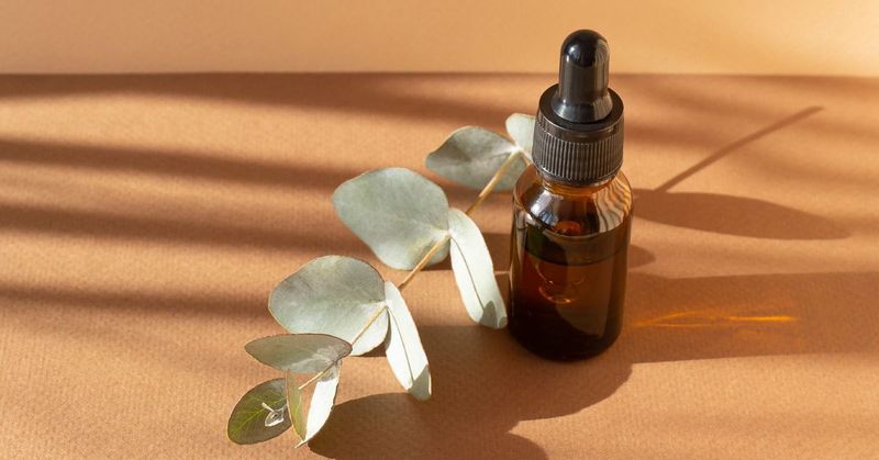 Eucalyptus
