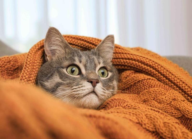 Excessive Self-Soothing Through Kneading or Sucking