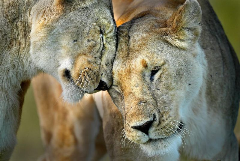 Facial Rubbing
