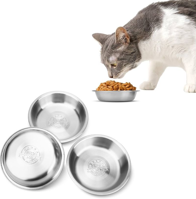 Fancy Cat Bowls
