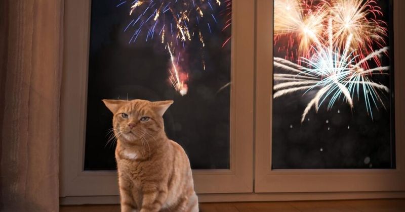 Fireworks