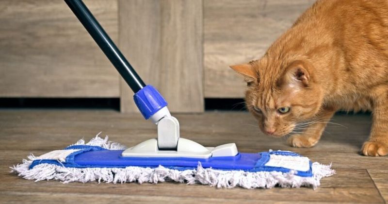 Floor Cleaners