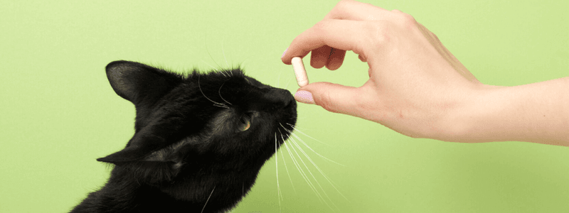 Forcing Medication or Grooming